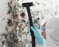 Best Biohazard Mold Removal  in London, CA